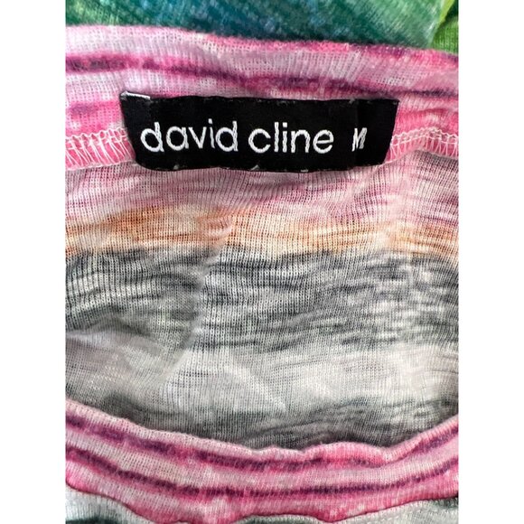 DAVID CLINE Stripe & Fun Tops 3/4 Length Sleeve Lot of 2 Sz M EUC - Picture 8 of 9